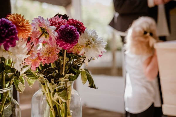 bloemen in de rouwhuiskamer in Huissen